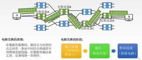 計(jì)算機(jī)網(wǎng)絡(luò)技術(shù)服務(wù) 互聯(lián)時代的基石